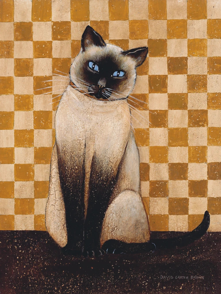Lola by David Carter Brown
