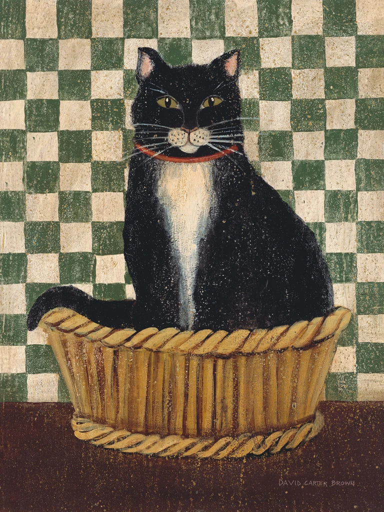Norman by David Carter Brown
