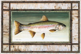 Rainbow Trout Birch Border by David Carter Brown. SKU 3161i. Archival Giclee Fine art print for wall decor.