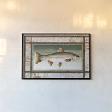 Rainbow Trout Birch Border by David Carter Brown. shown as a paper print in a black flame. Available as a archival giclee rolled canvas, fine art paper, or poster print. SKU 3161i.