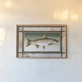 Rainbow Trout Birch Border by David Carter Brown. shown as a paper print in a natural frame. Available as a archival giclee rolled canvas, fine art paper, or poster print. SKU 3161i.