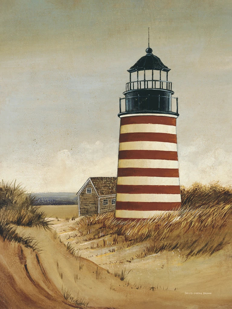 Up Island by David Carter Brown