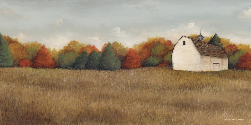 White Barn in Field Neutral by David Carter Brown