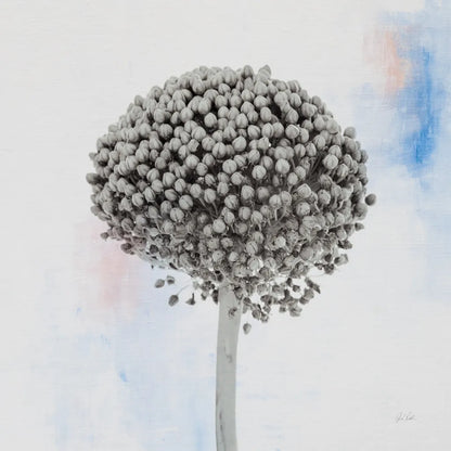 Agapanthus I by Deborah Revell. SKU 91621a. Archival Giclee Fine art print for wall decor.