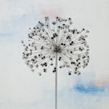 Agapanthus III by Deborah Revell. SKU 91623a. Archival Giclee Fine art print for wall decor.