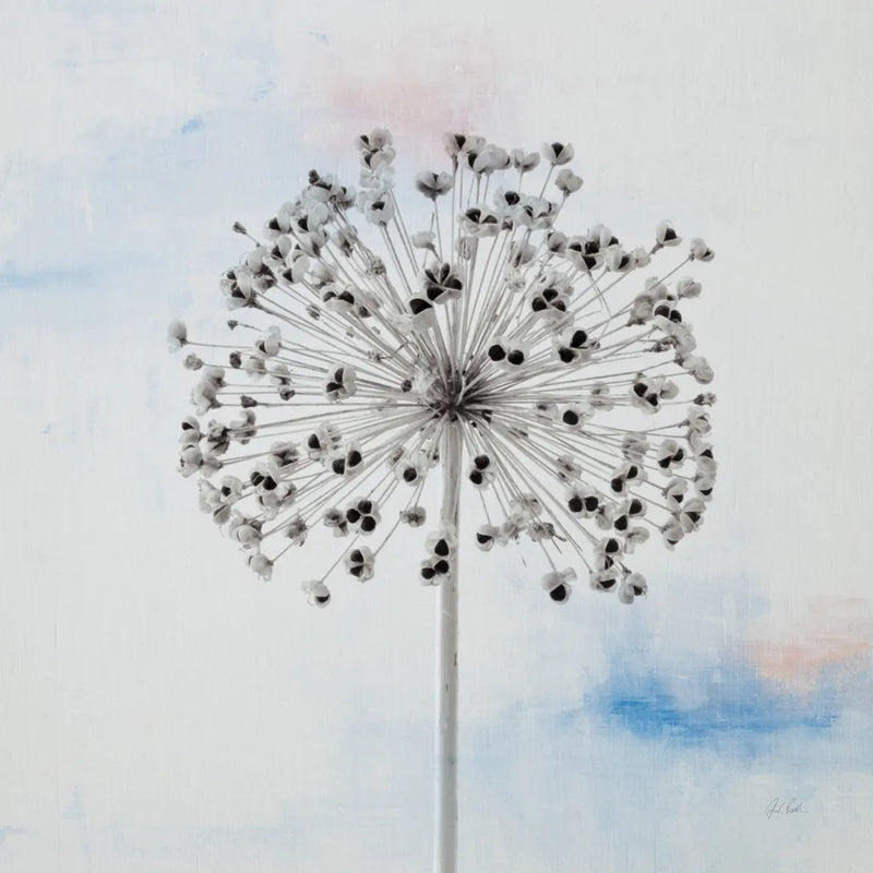 Agapanthus III by Deborah Revell. SKU 91623a. Archival Giclee Fine art print for wall decor.