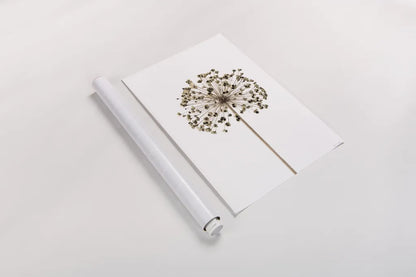 Allium by Deborah Revell. shown as a rolled paper print. Available as archival giclee rolled canvas, fine art paper, or poster print. SKU 92046h.