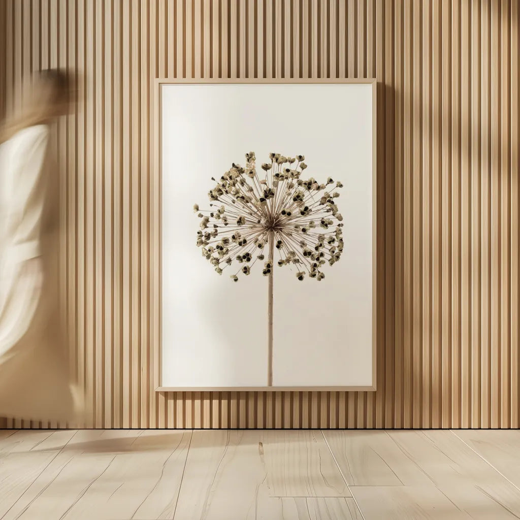 Allium by Deborah Revell. shown as over sized large wall art. Available as an archival giclee rolled canvas, fine art paper, or poster print. SKU 92046h.