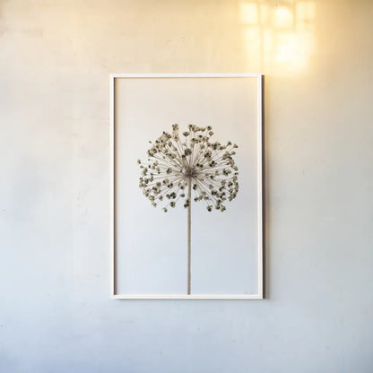 Allium by Deborah Revell. shown as a paper print in a white frame. Available as a archival giclee rolled canvas, fine art paper, or poster print. SKU 92046h.