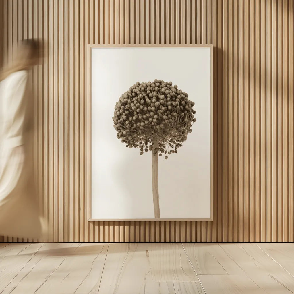 Allium II by Deborah Revell. shown as over sized large wall art. Available as an archival giclee rolled canvas, fine art paper, or poster print. SKU 93116h.