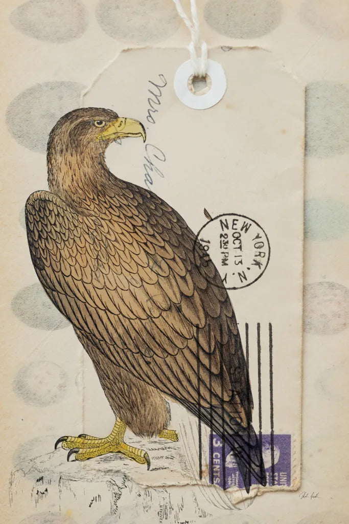 American Hawk by Deborah Revell. SKU 100614h. Archival Giclee Fine art print for wall decor.