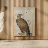 American Hawk by Deborah Revell. shown as over sized large wall art. Available as an archival giclee rolled canvas, fine art paper, or poster print. SKU 100614h.