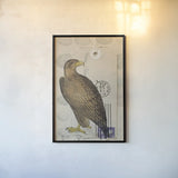 American Hawk by Deborah Revell. shown as a paper print in a black flame. Available as a archival giclee rolled canvas, fine art paper, or poster print. SKU 100614h.