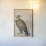 American Hawk by Deborah Revell. shown as a paper print in a natural frame. Available as a archival giclee rolled canvas, fine art paper, or poster print. SKU 100614h.