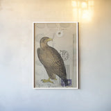 American Hawk by Deborah Revell. shown as a paper print in a white frame. Available as a archival giclee rolled canvas, fine art paper, or poster print. SKU 100614h.