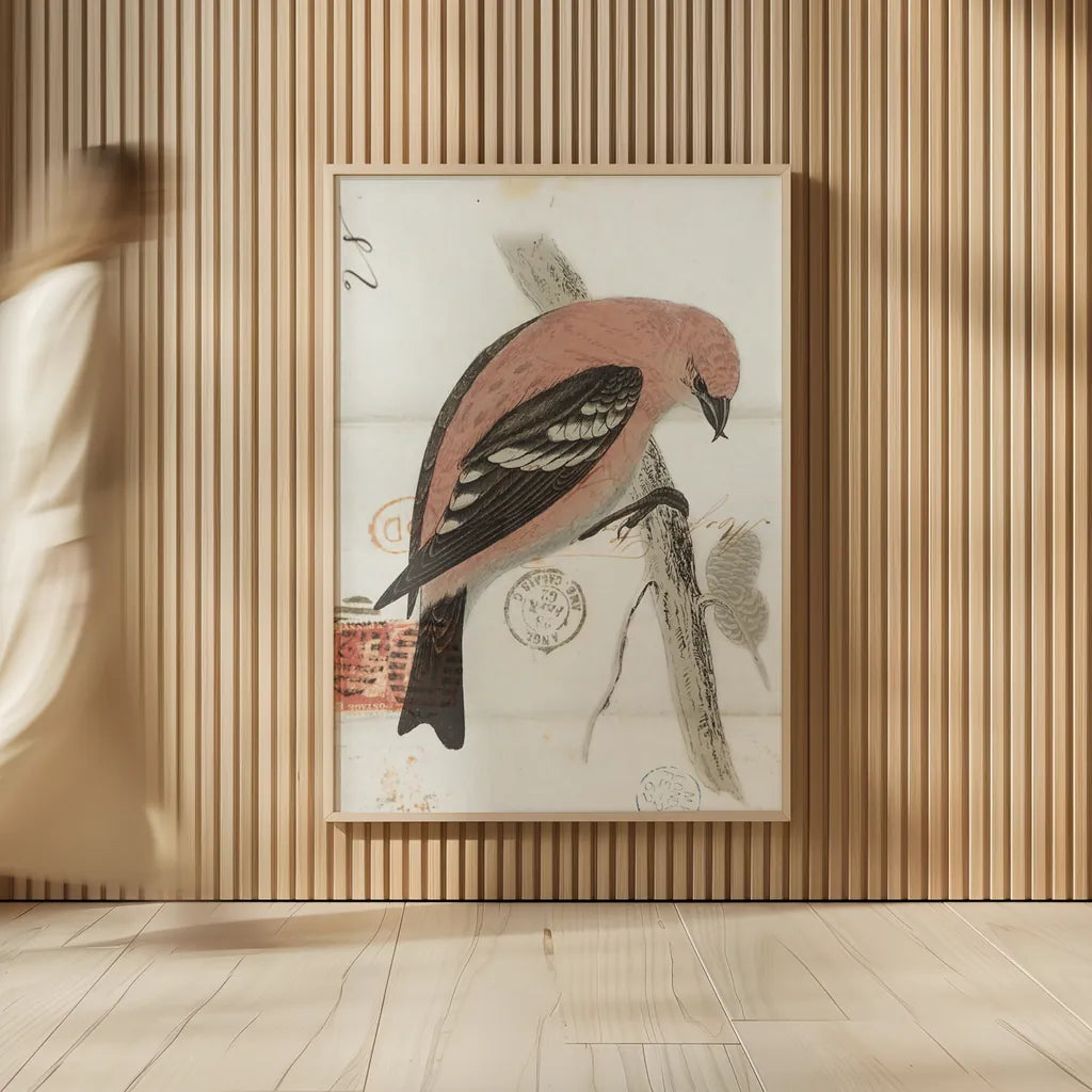 American White Winged Crossbill by Deborah Revell. shown as over sized large wall art. Available as an archival giclee rolled canvas, fine art paper, or poster print. SKU 101630h.