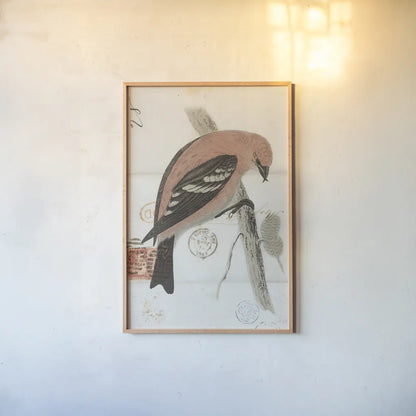 American White Winged Crossbill by Deborah Revell. shown as a paper print in a natural frame. Available as a archival giclee rolled canvas, fine art paper, or poster print. SKU 101630h.