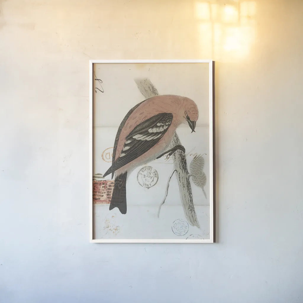 American White Winged Crossbill by Deborah Revell. shown as a paper print in a white frame. Available as a archival giclee rolled canvas, fine art paper, or poster print. SKU 101630h.