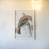American White Winged Crossbill by Deborah Revell. shown as a paper print in a white frame. Available as a archival giclee rolled canvas, fine art paper, or poster print. SKU 101630h.