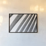 BW Fern II by Deborah Revell. shown as a paper print in a black flame. Available as a archival giclee rolled canvas, fine art paper, or poster print. SKU 92033i.