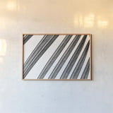 BW Fern II by Deborah Revell. shown as a paper print in a natural frame. Available as a archival giclee rolled canvas, fine art paper, or poster print. SKU 92033i.