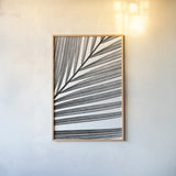 BW Fern III by Deborah Revell. shown as a paper print in a natural frame. Available as a archival giclee rolled canvas, fine art paper, or poster print. SKU 92034h.