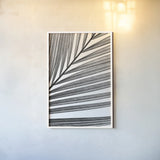 BW Fern III by Deborah Revell. shown as a paper print in a white frame. Available as a archival giclee rolled canvas, fine art paper, or poster print. SKU 92034h.