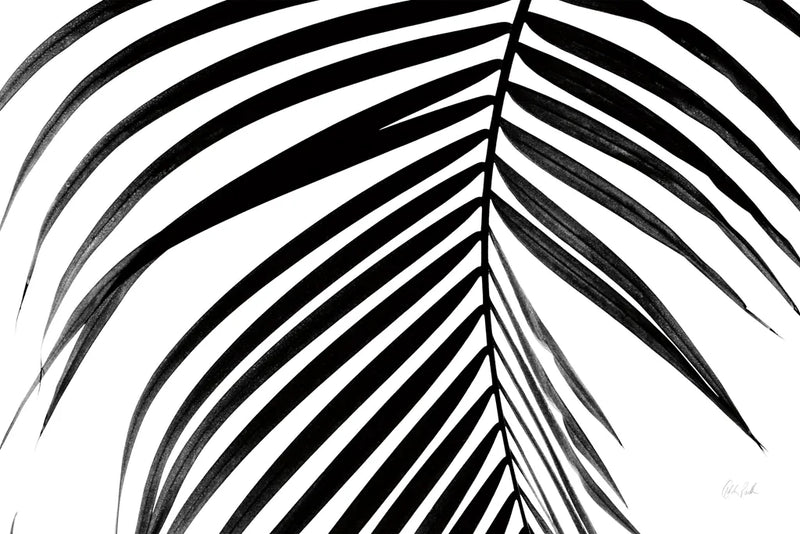 BW Fern V by Deborah Revell. SKU 92036i. Archival Giclee Fine art print for wall decor.