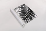 BW Fern VI by Deborah Revell. shown as a rolled paper print. Available as archival giclee rolled canvas, fine art paper, or poster print. SKU 92037h.