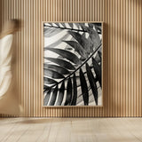 BW Fern VI by Deborah Revell. shown as over sized large wall art. Available as an archival giclee rolled canvas, fine art paper, or poster print. SKU 92037h.