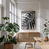BW Fern VI by Deborah Revell. shown as a print in a natural wood frame in a dining room. Available as a archival giclee rolled canvas, fine art paper, or poster print. SKU 92037h.