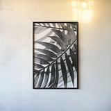 BW Fern VI by Deborah Revell. shown as a paper print in a black flame. Available as a archival giclee rolled canvas, fine art paper, or poster print. SKU 92037h.