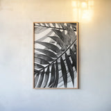 BW Fern VI by Deborah Revell. shown as a paper print in a natural frame. Available as a archival giclee rolled canvas, fine art paper, or poster print. SKU 92037h.