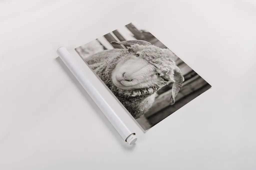 Barn Buddy I by Deborah Revell. shown as a rolled paper print. Available as archival giclee rolled canvas, fine art paper, or poster print. SKU 96301i.