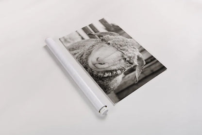 Barn Buddy I by Deborah Revell. shown as a rolled paper print. Available as archival giclee rolled canvas, fine art paper, or poster print. SKU 96301i.