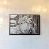Barn Buddy I by Deborah Revell. shown as a paper print in a black flame. Available as a archival giclee rolled canvas, fine art paper, or poster print. SKU 96301i.