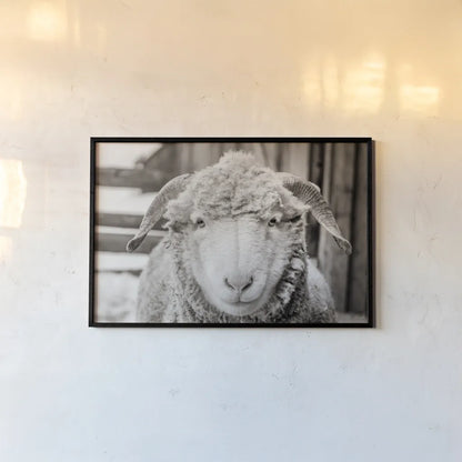 Barn Buddy I by Deborah Revell. shown as a paper print in a black flame. Available as a archival giclee rolled canvas, fine art paper, or poster print. SKU 96301i.