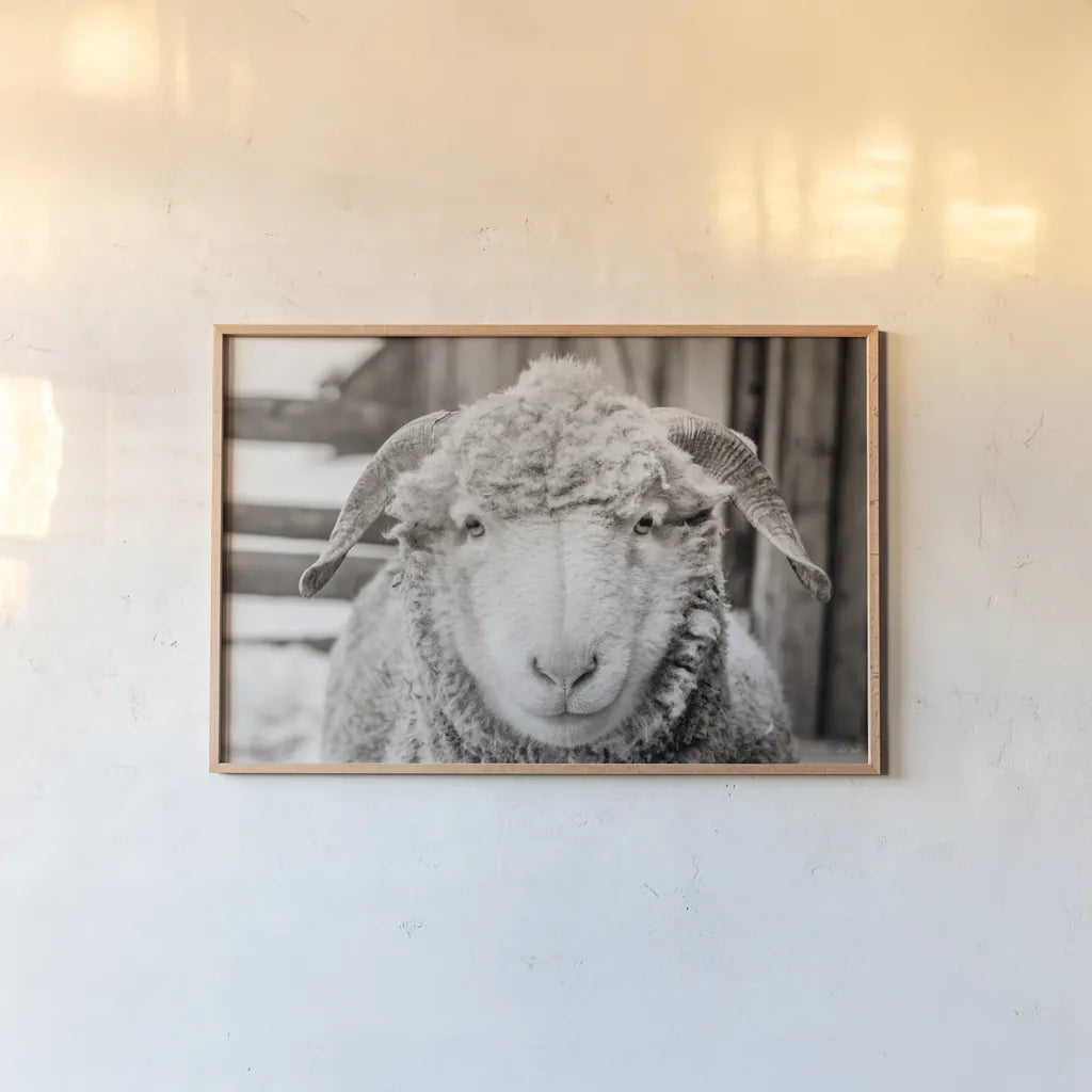 Barn Buddy I by Deborah Revell. shown as a paper print in a natural frame. Available as a archival giclee rolled canvas, fine art paper, or poster print. SKU 96301i.
