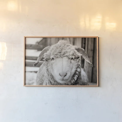 Barn Buddy I by Deborah Revell. shown as a paper print in a natural frame. Available as a archival giclee rolled canvas, fine art paper, or poster print. SKU 96301i.