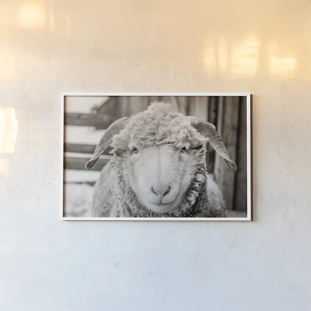 Barn Buddy I by Deborah Revell. shown as a paper print in a white frame. Available as a archival giclee rolled canvas, fine art paper, or poster print. SKU 96301i.
