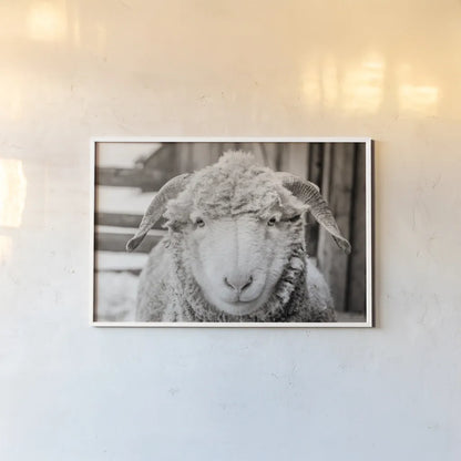Barn Buddy I by Deborah Revell. shown as a paper print in a white frame. Available as a archival giclee rolled canvas, fine art paper, or poster print. SKU 96301i.