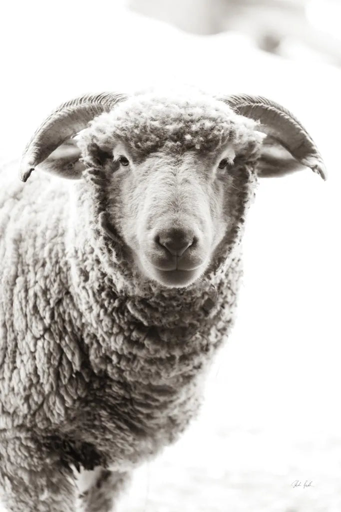 Barn Buddy II by Deborah Revell. SKU 96302h. Archival Giclee Fine art print for wall decor.