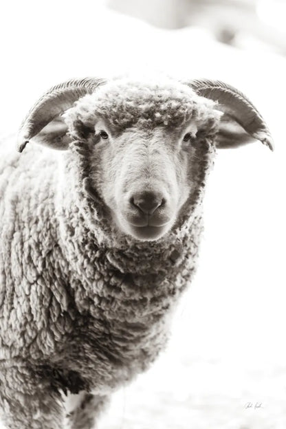 Barn Buddy II by Deborah Revell. SKU 96302h. Archival Giclee Fine art print for wall decor.