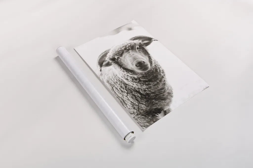 Barn Buddy II by Deborah Revell. shown as a rolled paper print. Available as archival giclee rolled canvas, fine art paper, or poster print. SKU 96302h.