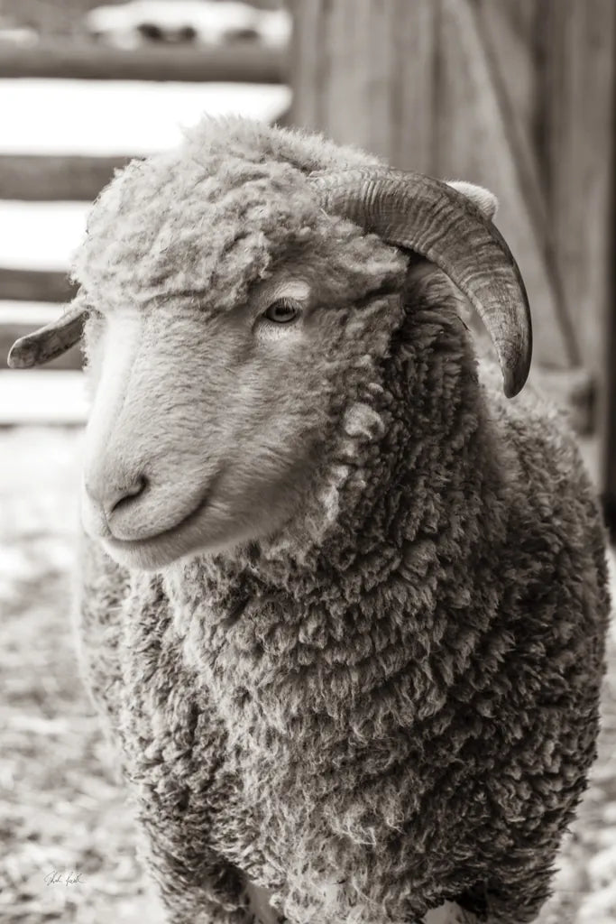 Barn Buddy III by Deborah Revell. SKU 96303h. Archival Giclee Fine art print for wall decor.