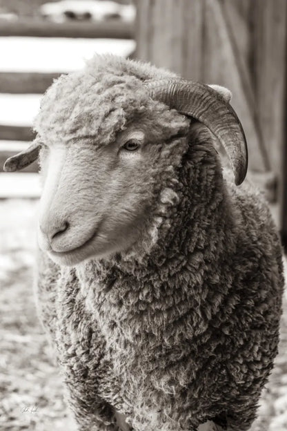 Barn Buddy III by Deborah Revell. SKU 96303h. Archival Giclee Fine art print for wall decor.