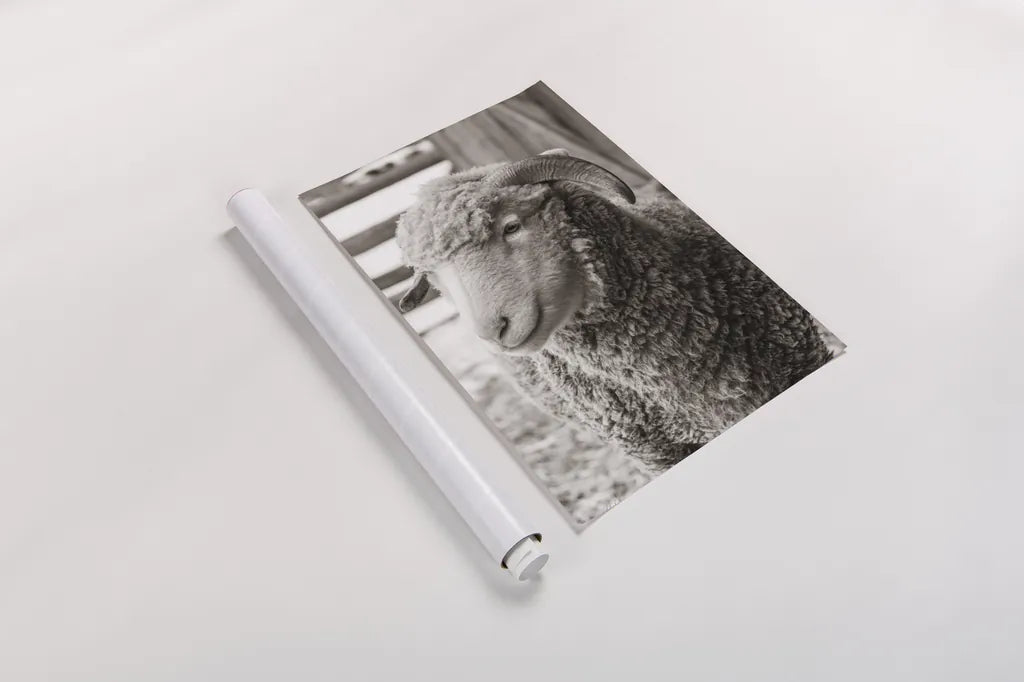 Barn Buddy III by Deborah Revell. shown as a rolled paper print. Available as archival giclee rolled canvas, fine art paper, or poster print. SKU 96303h.