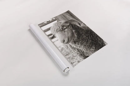 Barn Buddy III by Deborah Revell. shown as a rolled paper print. Available as archival giclee rolled canvas, fine art paper, or poster print. SKU 96303h.