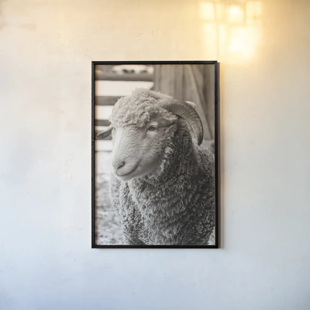 Barn Buddy III by Deborah Revell. shown as a paper print in a black flame. Available as a archival giclee rolled canvas, fine art paper, or poster print. SKU 96303h.