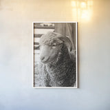 Barn Buddy III by Deborah Revell. shown as a paper print in a white frame. Available as a archival giclee rolled canvas, fine art paper, or poster print. SKU 96303h.